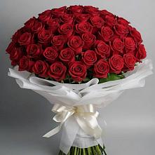 Букет 101 Красная роза Блэк Мэджик в Новый