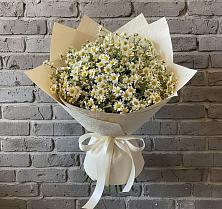 Букет цветов из:  Ромашки #REPLACE_PRED# Новый