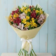 Букет цветов из:  Альстромерии в Новый
