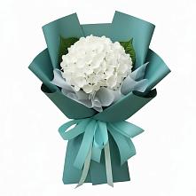 Букет цветов из:  Гортензия в Новый